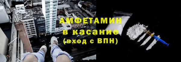 шишки Белоозёрский