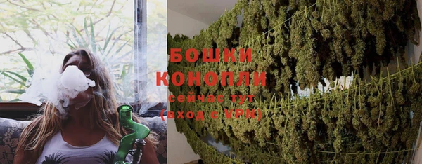 шишки Белоозёрский