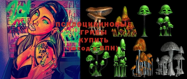 СК Беломорск